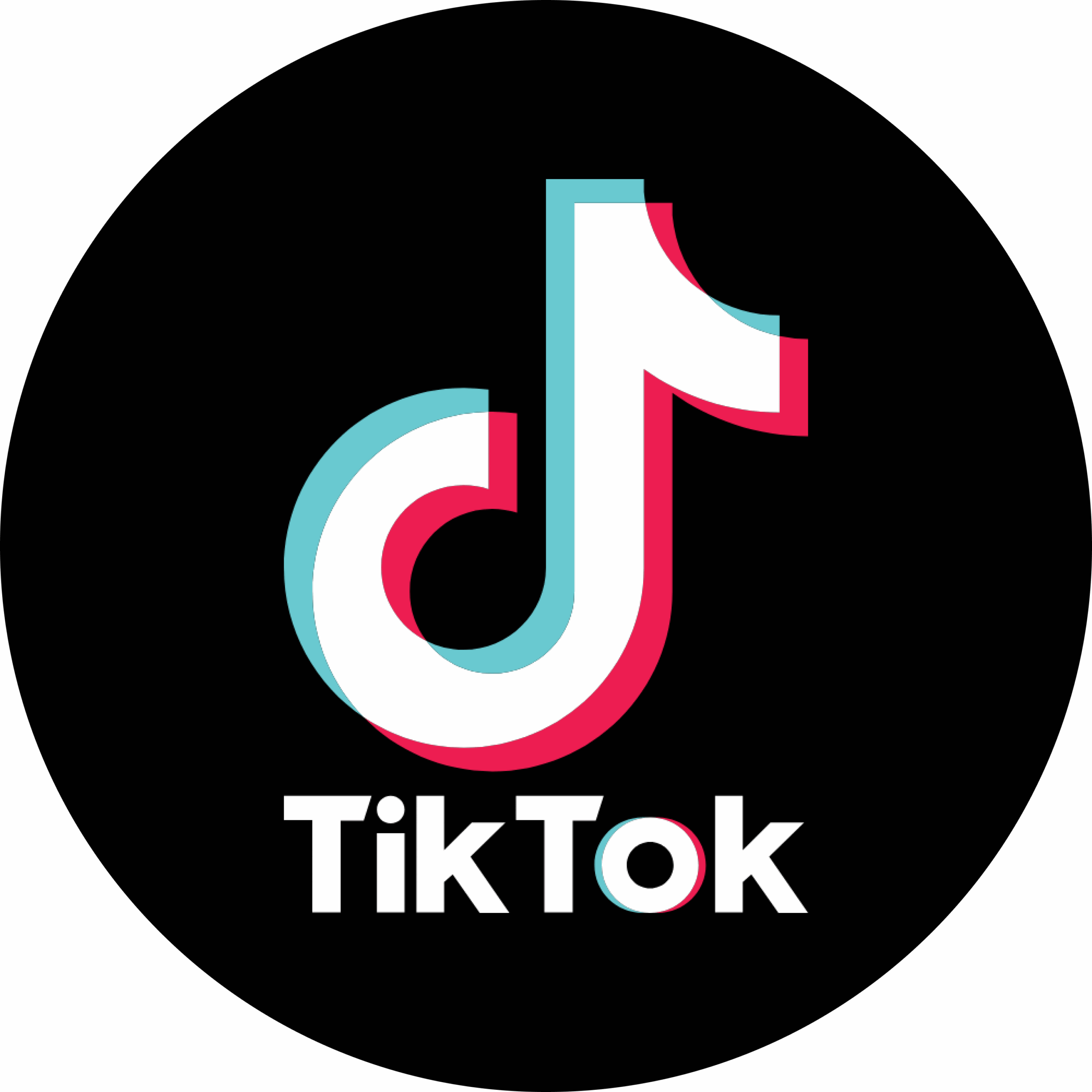 tiktok logo